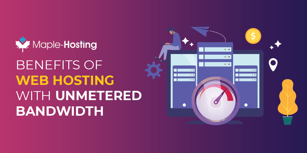 Web Hosting With Unmetered Bandwidth